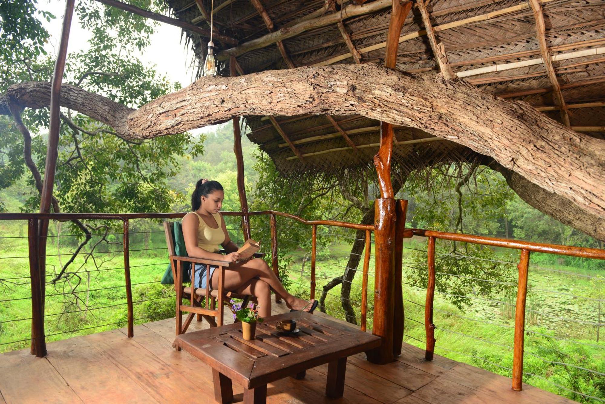 Back Of Beyond - Wild Haven Villa Sigiriya Eksteriør bilde
