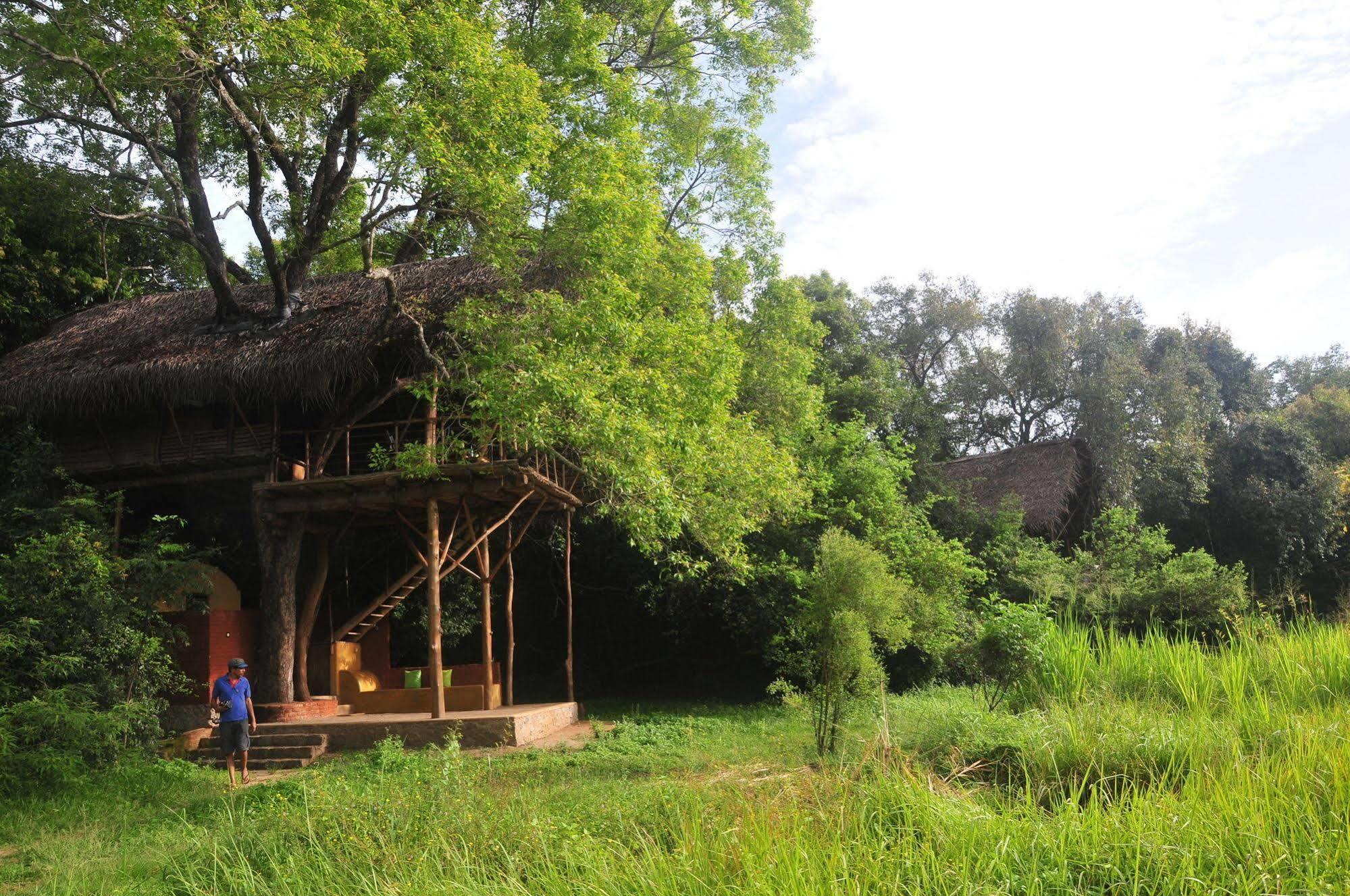 Back Of Beyond - Wild Haven Villa Sigiriya Eksteriør bilde