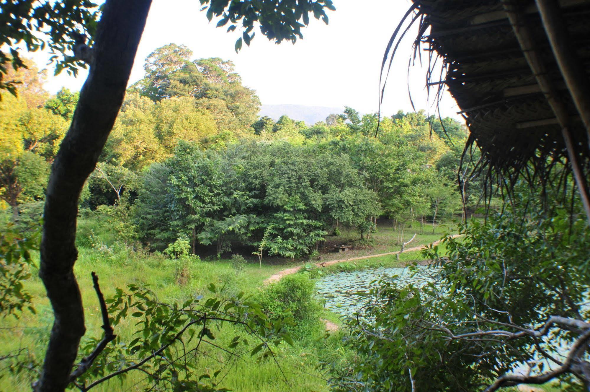 Back Of Beyond - Wild Haven Villa Sigiriya Eksteriør bilde