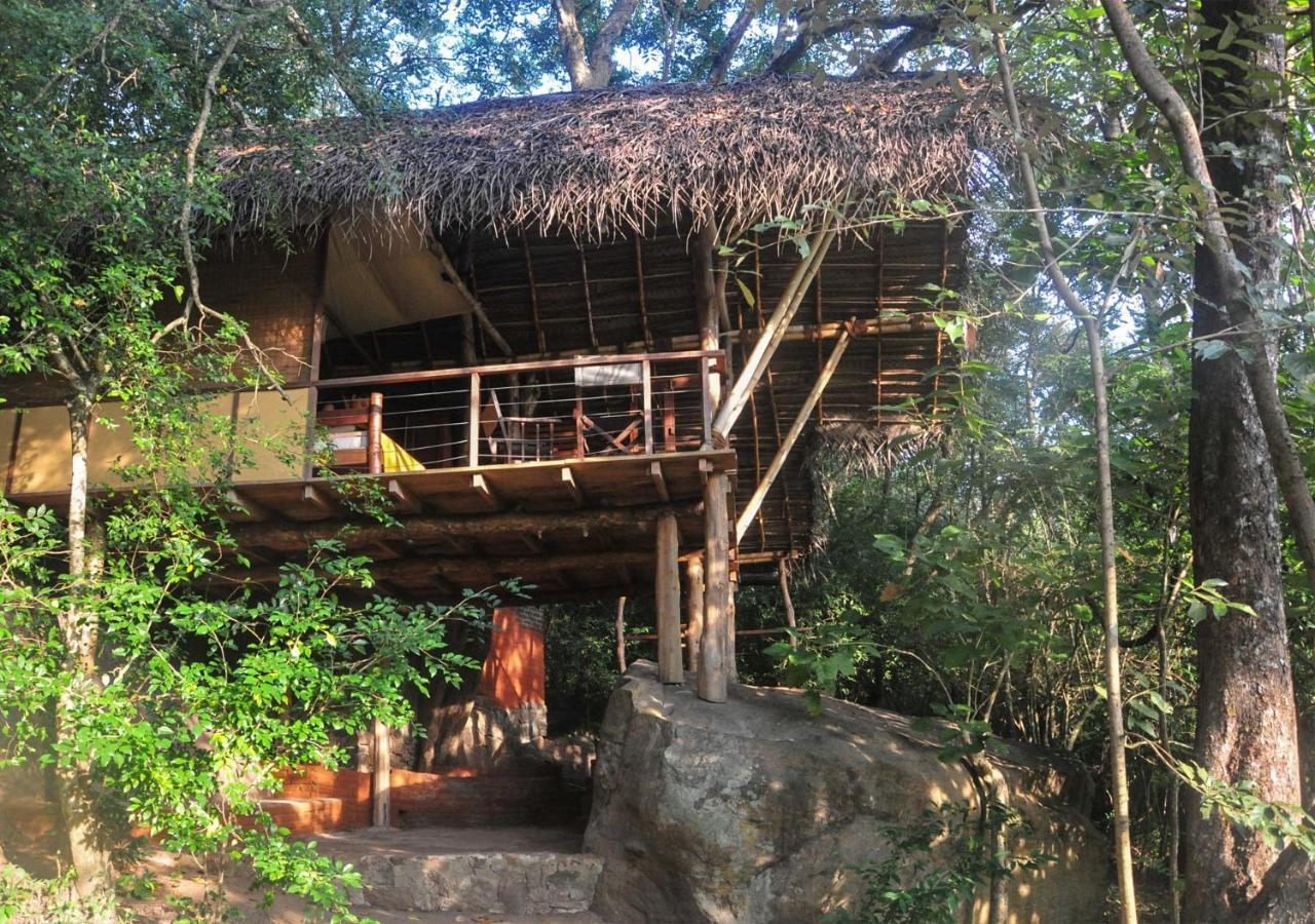 Back Of Beyond - Wild Haven Villa Sigiriya Eksteriør bilde