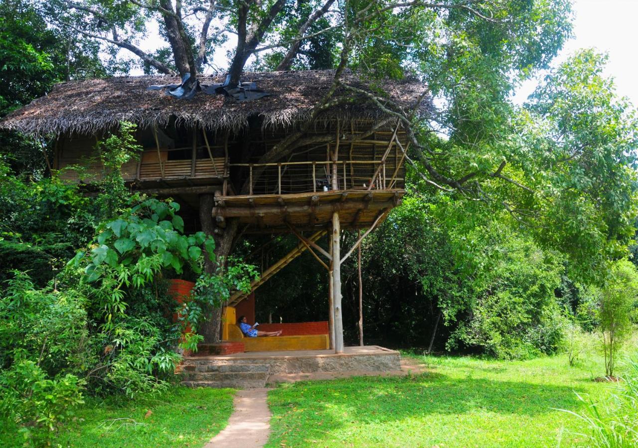 Back Of Beyond - Wild Haven Villa Sigiriya Eksteriør bilde