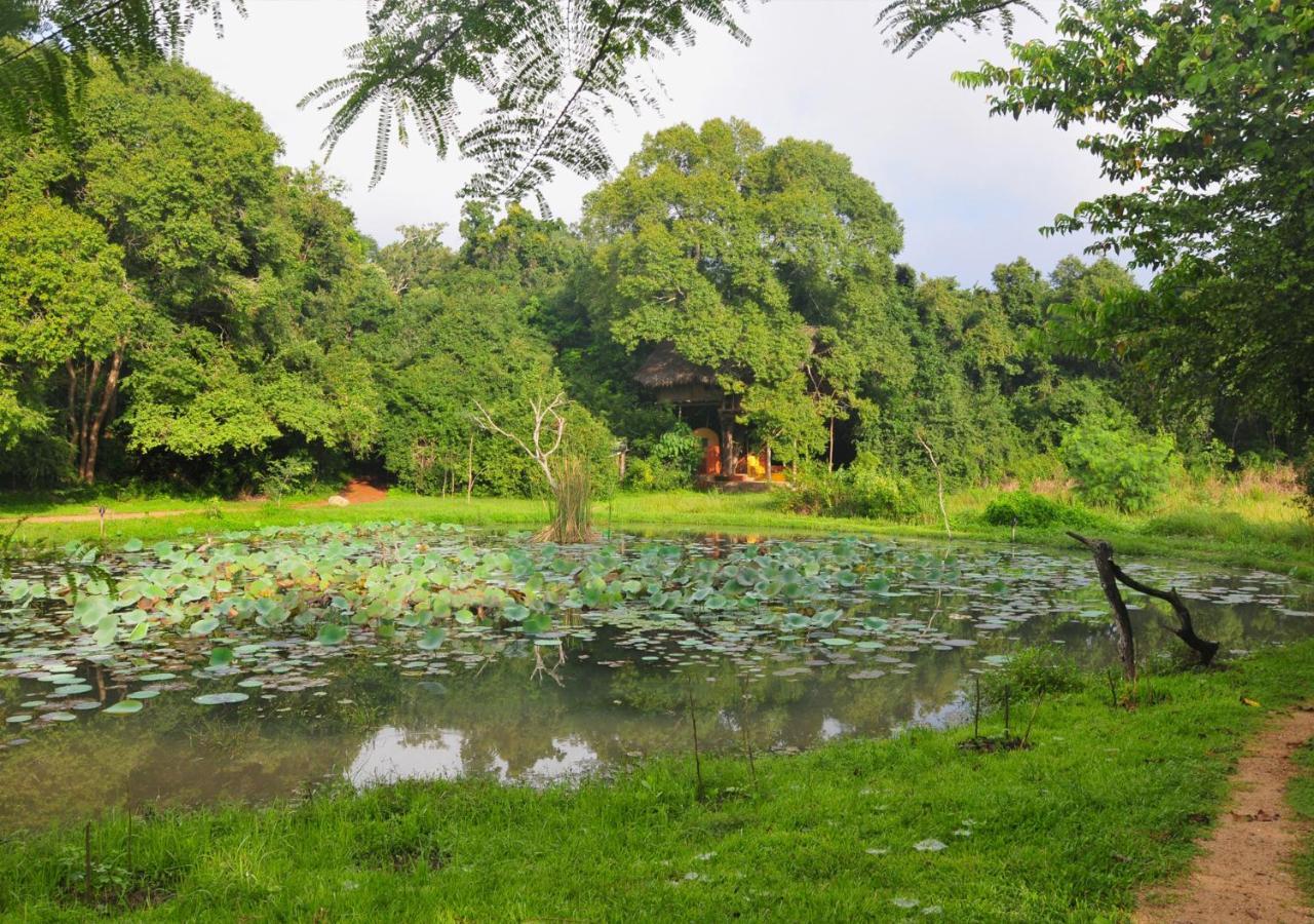 Back Of Beyond - Wild Haven Villa Sigiriya Eksteriør bilde