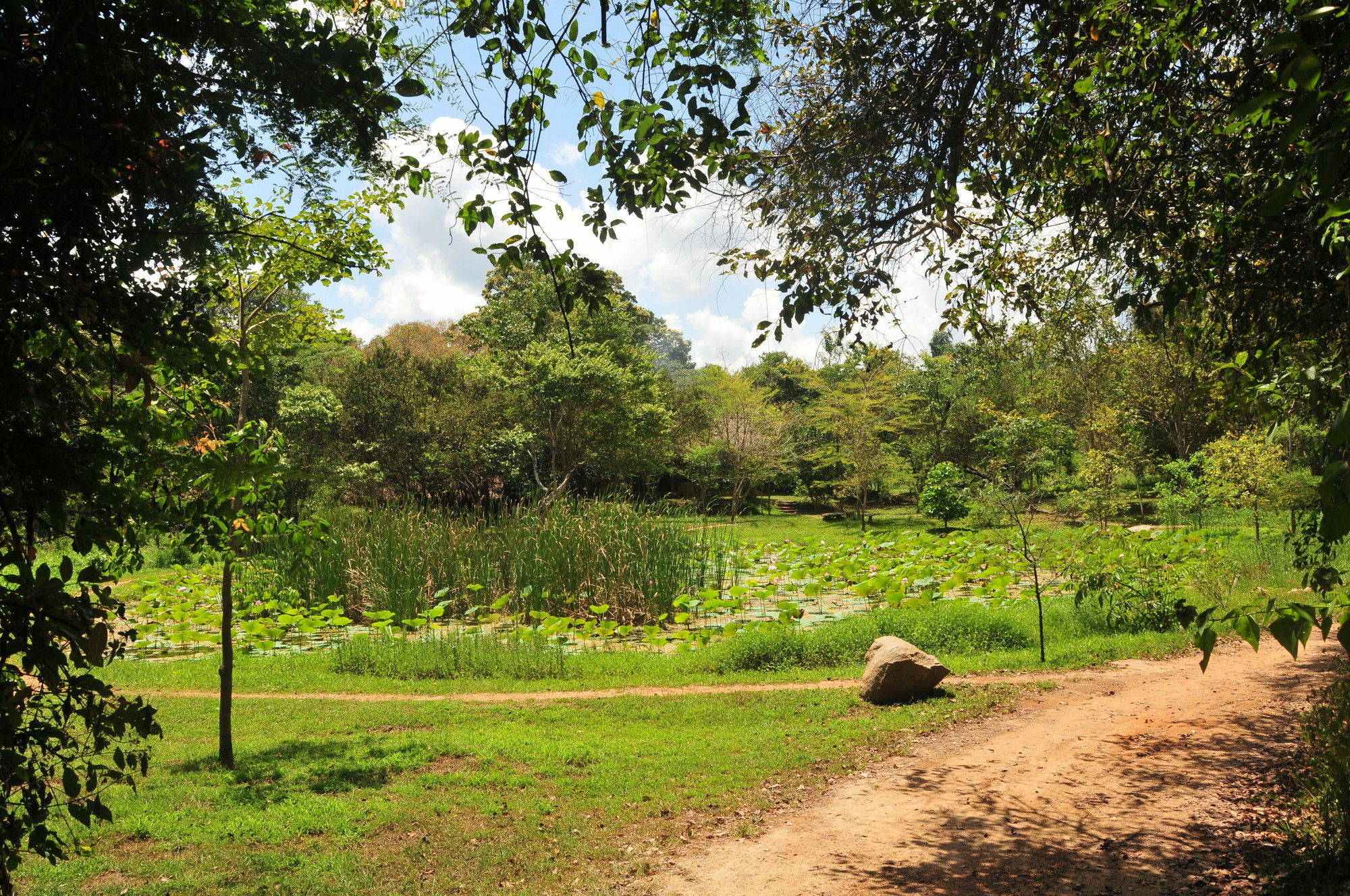Back Of Beyond - Wild Haven Villa Sigiriya Eksteriør bilde