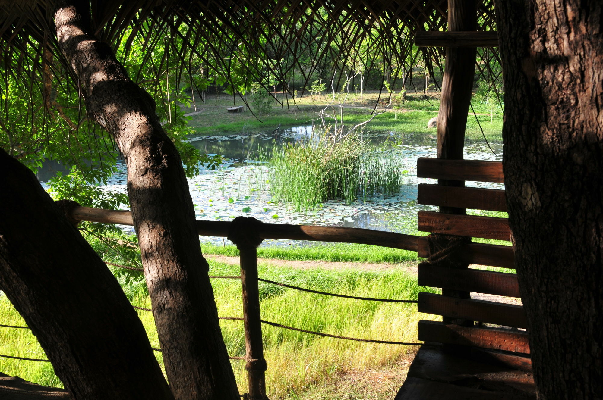 Back Of Beyond - Wild Haven Villa Sigiriya Eksteriør bilde